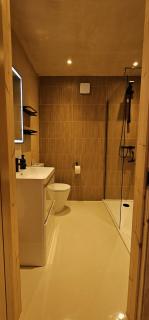 Shorebreak Apartment 2 - Newquay - 6