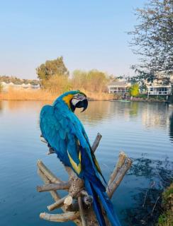 BKM Lake View Retreat at Leisure Bay Estate - Pretoria - 4