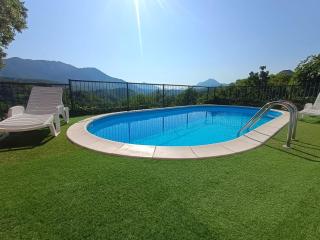 Dalmatian Green Peak - 0