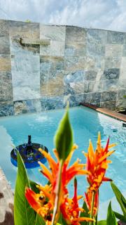 Géko, piscine, jardin, paisible - Sainte-Luce - 2