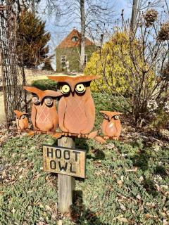 Hoot Owl with a private hot tub - Bryant - 8