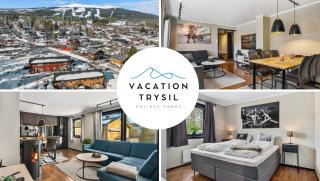 VB33- Tastefully furnished 3BR flat near lifts - Trysil - 0