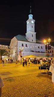 Apartament Za Murami Gliwice - Gliwice - 9