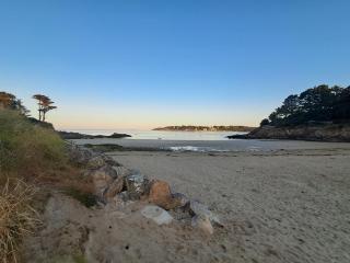 kerfany les pins - Moëlan-sur-Mer - 1