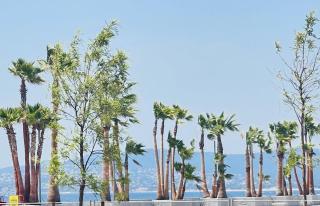 Studio centre ville 50 de la plage - Saint-Raphaël - 7