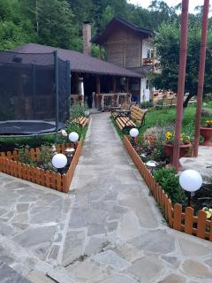 Pensiunea Serbeca - Broşteni - 4