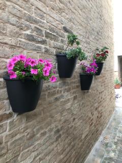 Alloggio nel Borgo 3a - Monte San Pietrangeli - 7