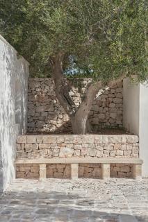Trulli Antonelli - Antonelli - 8