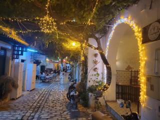 Mahdia old city Luxury house - Bin Rhilouf - 2