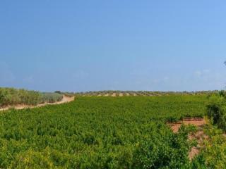 Apartment in Montilla near Palacio Medinaceli, cleaning included - Montilla - 7