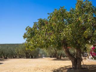 Apartment in Montilla near Palacio Medinaceli, cleaning included - Montilla - 3