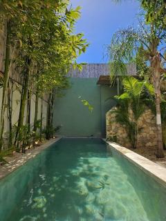 New Bamboo Casa Azul Pool Paddle Tennis and Soccer - Mérida - 7