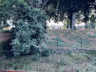 T3-dans le verdure TRES CALME A SCHILTIGHEIM - Bischheim - 6