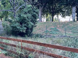 T3-dans le verdure TRES CALME A SCHILTIGHEIM - 2