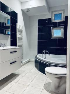 T3-dans le verdure TRES CALME A SCHILTIGHEIM - 1