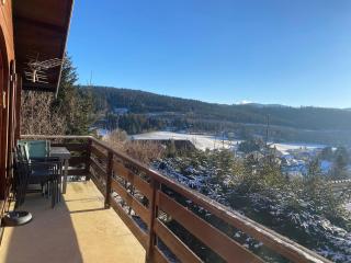 Chalet Pure - Les Hôpitaux-Neufs - 2