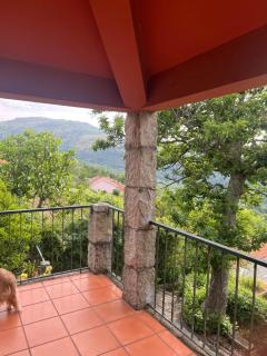 Casa da Costinha - Cinfães - 8