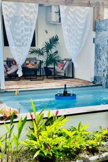 Géko, piscine, jardin, paisible - 9