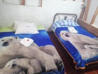 Hostal El Bambú - - 2