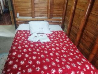 Hostal El Bambú - 1