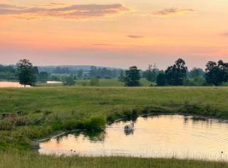 Liberty Lodge Countryside Stay - Mentone - 8