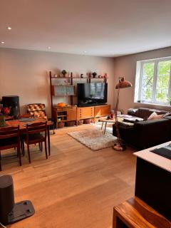 Modern apartment St Hanshaugen - 0