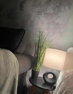 Apartament Piaskowa Mountain - Wałbrzych - 4