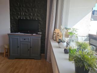 Apartament przy Krupówkach Szarotka - Zakopane - 6