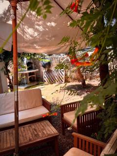 VILLINO TROCCOLI, Appartamento Morenita - Marina di Camerota - 7