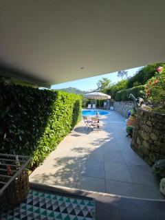 Orchidea - Beverino - 2