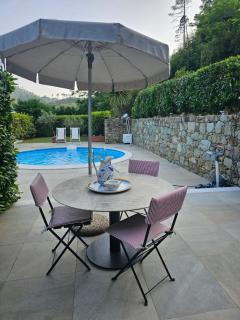 Orchidea - Beverino - 1