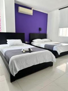hotel royal fenix - 7