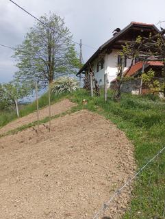 Holiday Home Carovina - Paradiž - 0