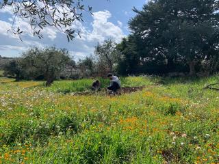 Equi Trullo - 3
