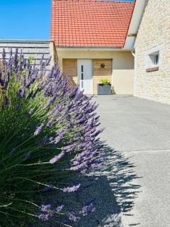 Eden aux hirondelles - Samer - 1