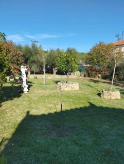 A beautiful apartment with bamboo garden - Agrídhion - 5