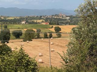 Casale delle Luci - Lucignano - 1