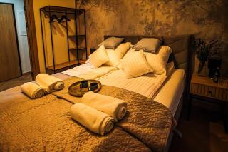 Apartament Vitis Rose - Sandomierz - 2