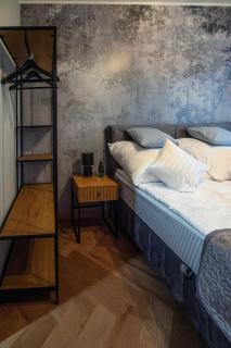 Apartament Vitis Rose - Sandomierz - 1