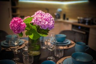 Apartament Vitis Rose - 6