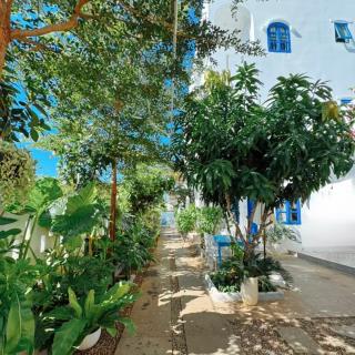 A House - homestay Mui Ne - Mui Ne - 2