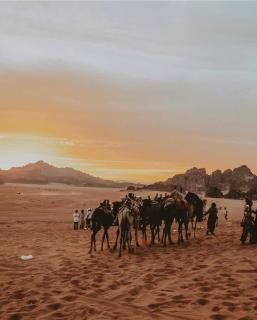 Camp jamal tour - Disah - 5