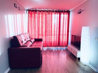 Hermoso departamento en el corazón del Santiago - Santiago - 8