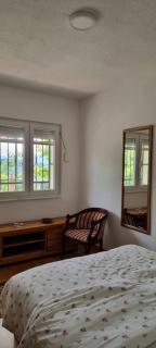 Villa America's apartment - Ivišovo Greblje - 8