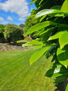 Casa Rea - Beverino - 2