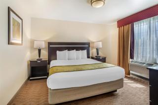 Best Western Luxury Inn - Tracy - 4