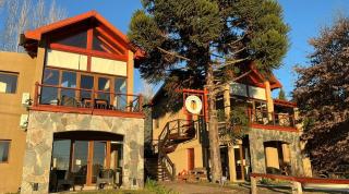 La Araucaria - 2