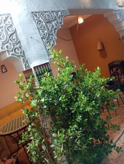 Riad Sun Medina Terrace - Marrakesh - 0