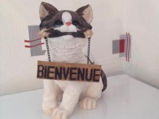 Charmant Gîte à Étain, Tout Inclus, Proche Verdun avec Terrasse et Parking - FR-1-585-3 - 4