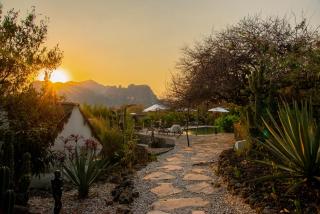 Bosque Geométrico - Tepoztlán - 1